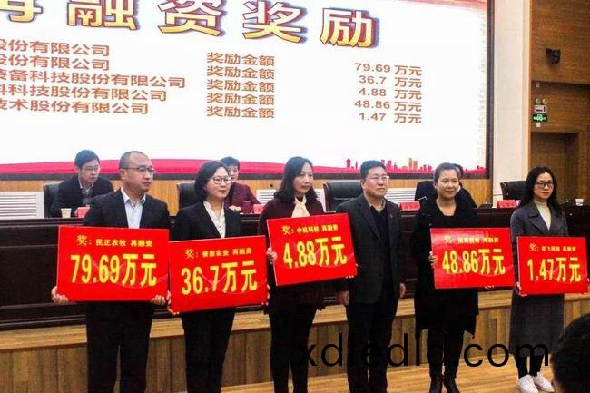公司荣获洛(luo)阳(yang)市资(zi)本(ben)市场(chang)发展(zhan)专项奖补